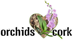 orchidsLogo